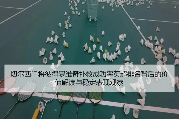 切尔西门将彼得罗维奇扑救成功率英超排名背后的价值解读与稳定表现观察